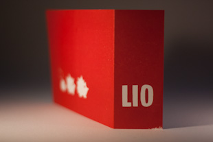 een geplooid geboortekaartje met het opschrift Lio